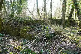 Les ruines du puits Wilson.