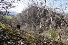 Un terril vue depuis le plan incliné boisé d'un autre.