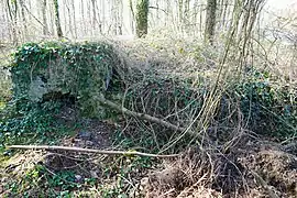 Ruines du puits de la Haute-Meule.