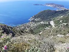 Vue sur la Moyenne Corniche qui serpente au-dessus d'Èze-sur-Mer.