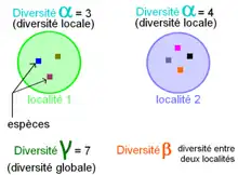 Schéma des différentes mesures de diversité utilisées en écologie