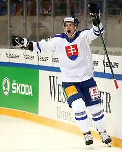 Photographie couleur d'un joueur de hockey sur glace