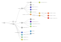 Clades Nextstrain, mai 2022.