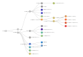 Clades Nextstrain, juillet 2022.