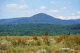 Le Fayé se distinguant de la ligne des Vosges.