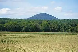 Le sommet émargeant au-dessus d'une forêt.