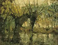 Saulaie. Impression de lumière et d'ombre, vers 1905, huile sur toile, 35 × 45 cm, Musée d'Art de Dallas.