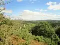 Les landes du Liscuis vues depuis le GR 341 vers Lann Falc'h.