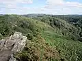 Les landes du Liscuis vues depuis le GR 341 vers Lann Falc'h.