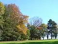 Les arbres du parc en automne.