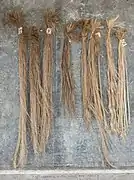 Fibres d’abaca classées par couleur