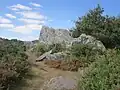 Les landes du Liscuis vues depuis le GR 341 vers Lann Falc'h.