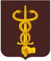 Épée. 23rd Medical Battalion, US Army.