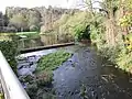 L'Hyères au Pont du Roy en Carhaix (côté amont).