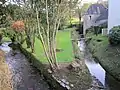 Le canal de dérivation alimentant en eau le moulin de Goaranvec.