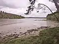 La Rivière d'Auray : vue vers le nord à partir du sentier littoral au nord de la pointe de Kerisper (en Pluneret).