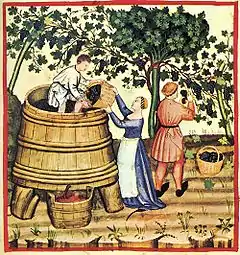 Les vendanges au XIVe siècle