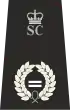 Assistant Chief Officer MSC