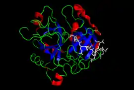 Image illustrative de l’article Prothrombine