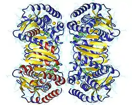 Image illustrative de l’article Malate déshydrogénase