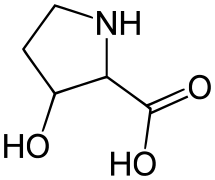 3-Hydroxyproline