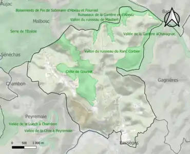 Carte des ZNIEFF de type 1 sur la commune.