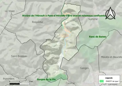 Carte des ZNIEFF de type 1 sur la commune.