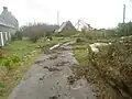 Penmarch (Saint-Pierre) : goémon déposé rue Runavalen par la submersion marine liée à la tempête du 1er janvier 2014