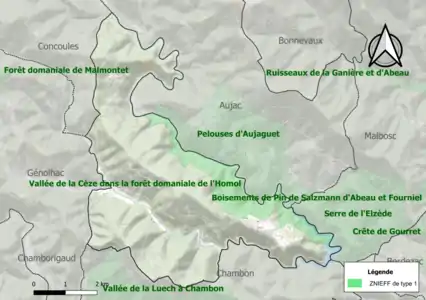 Carte de la ZNIEFF de type 1 sur la commune.