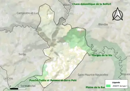 Carte des ZNIEFF de type 1 sur la commune.