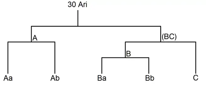 Le système 30 Arietis (structure assez similaire à celle de XO-2, du type « 2+[2+1] ») : un système stellaire « double double » (étoiles : Aa et Ab, et Ba et "?"), avec une des étoiles (Ba) entourée d'une planète (Bb).