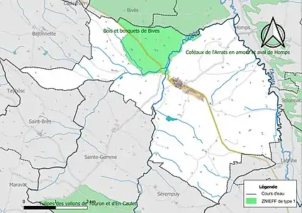 Carte de la ZNIEFF de type 1 sur la commune.