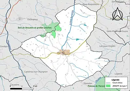 Carte de la ZNIEFF de type 1 sur la commune.