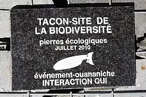 Pierre identifiant le Tacon Site de la Biodiversité