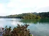 La rive gauche de la rivière (ria) de Belon (en Moëlan-sur-Mer) vue depuis la rive gauche de l'anse de Penmor (en Riec-sur-Bélon).