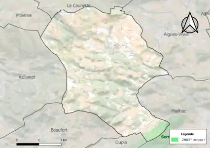 Carte de la ZNIEFF de type 1 sur la commune.