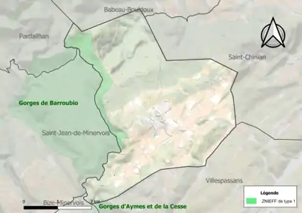 Carte de la ZNIEFF de type 1 sur la commune.