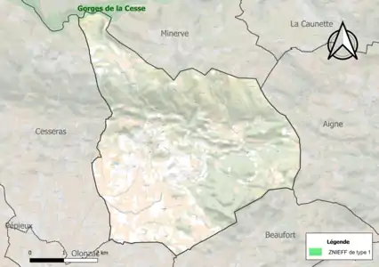 Carte de la ZNIEFF de type 1 sur la commune.