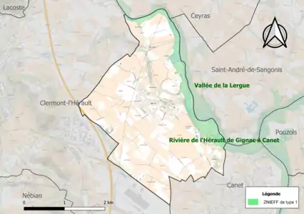 Carte de la ZNIEFF de type 1 sur la commune.