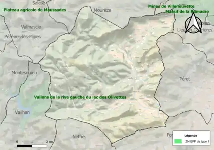 Carte de la ZNIEFF de type 1 sur la commune.