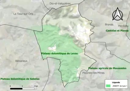 Carte de la ZNIEFF de type 1 sur la commune.