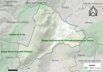 Carte de la ZNIEFF de type 1 sur la commune.