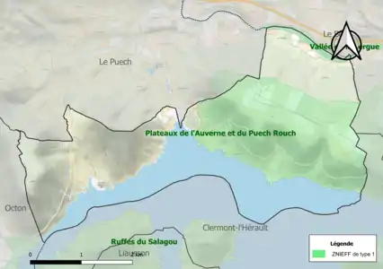 Carte des ZNIEFF de type 1 sur la commune.