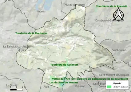 Carte des ZNIEFF de type 1 sur la commune.