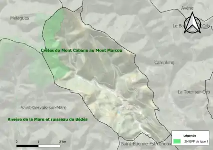 Carte de la ZNIEFF de type 1 sur la commune.