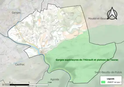 Carte de la ZNIEFF de type 1 sur la commune.