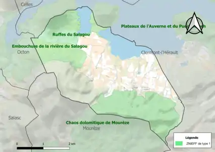 Carte des ZNIEFF de type 1 sur la commune.