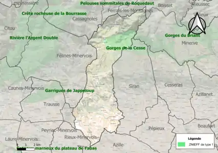 Carte de la ZNIEFF de type 1 sur la commune.