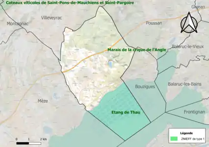 Carte de la ZNIEFF de type 1 sur la commune.