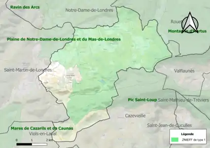 Carte des ZNIEFF de type 1 sur la commune.